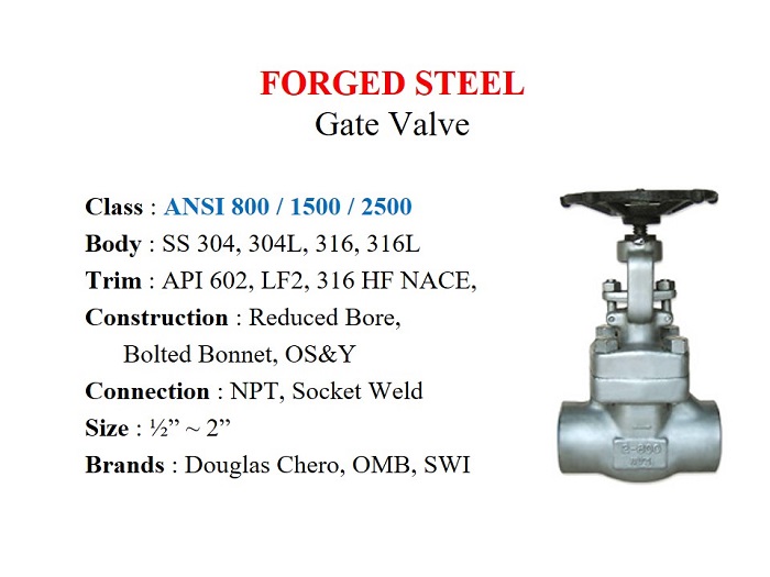 Forged Steel Gate Valve / Stainless Steel, ANSI 800, 1500, 2500, Screw 1/2" ~ 2" - Douglas Chero - Gamako